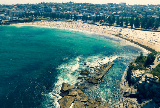 Wading Game - Coogee Beach Photos