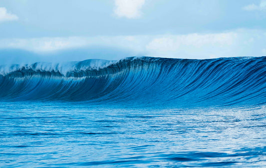 Locked In - Tahiti Barrel Wave Photo