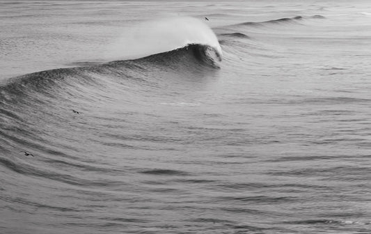 The Howler - Manhattan Beach Wave Photo